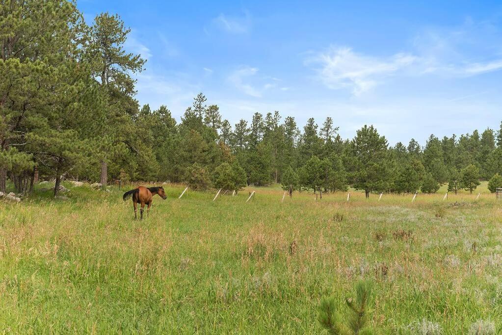 Papa'S Place On Willow Creek คัสเตอร์ ภายนอก รูปภาพ