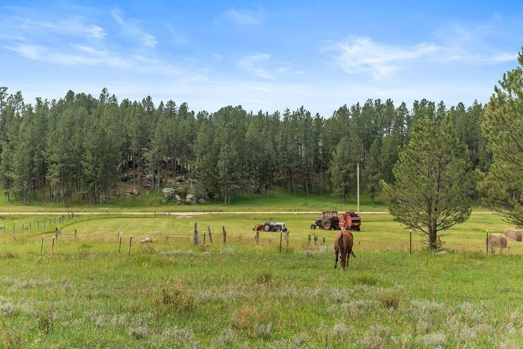 Papa'S Place On Willow Creek คัสเตอร์ ภายนอก รูปภาพ